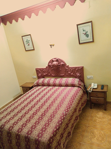Double Room (Double bed)